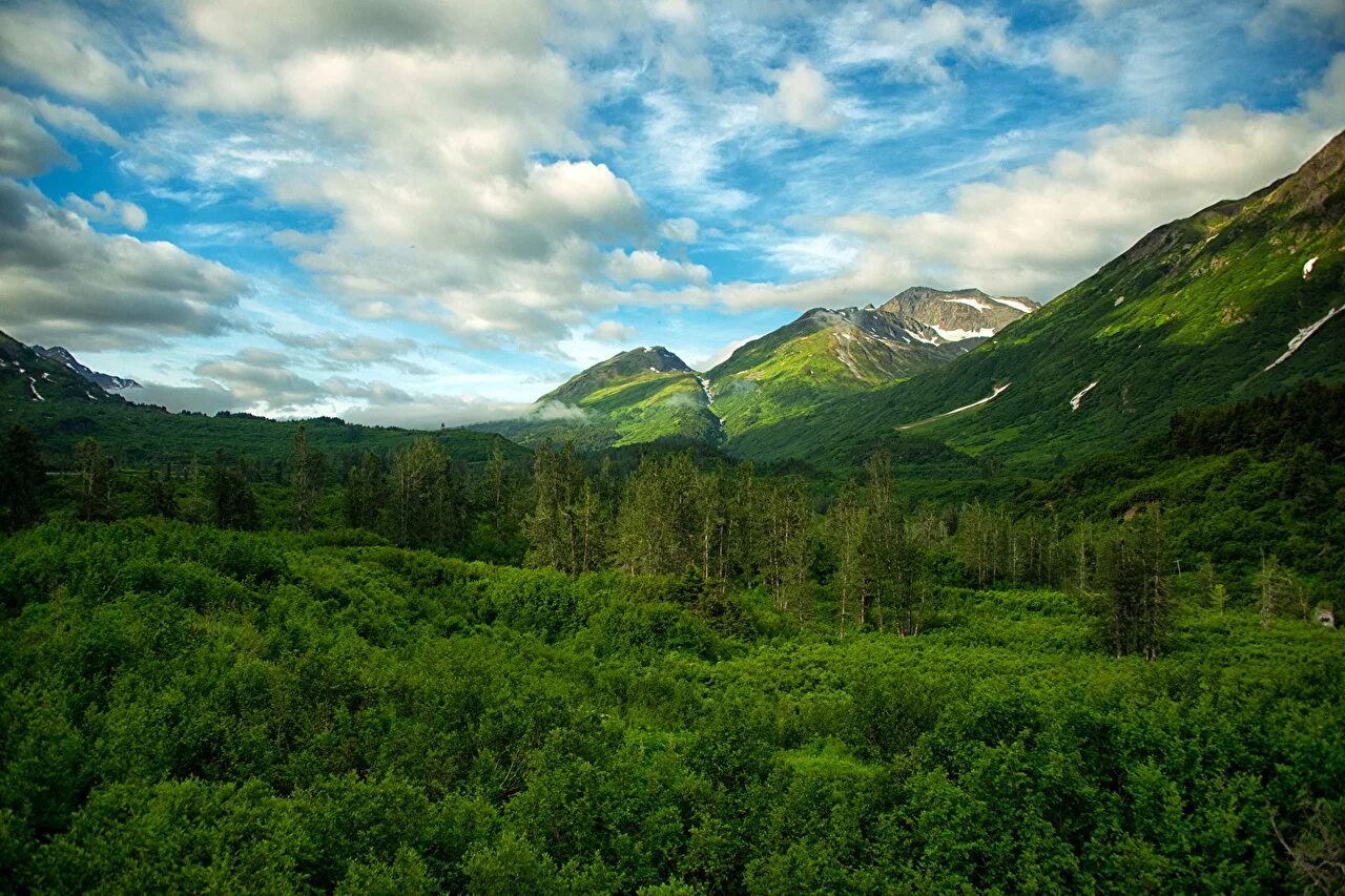 Зеленая аляска. Чугач (национальный лес). Чугачские горы Аляска. Штат Аляска природа. Штат Грин Маунтин.