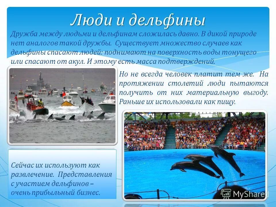 Легенда о чудесном спасении дельфином