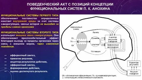 Система поведенческого акта