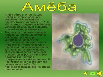 Краткое сообщение о системах
