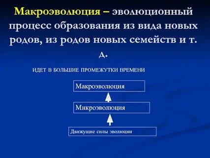 Эволюционный процесс образования новых видов