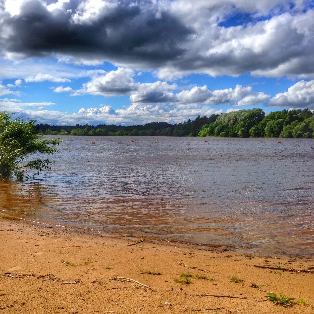 Рыбинское водохранилище. Рыбин, кое водохранилище. Рыбинск Рыбинское море. Брыньское водохранилище.