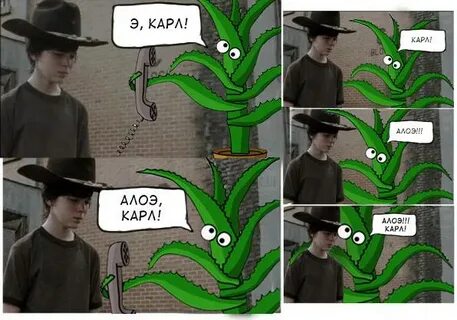 Алоэ телефон