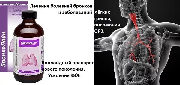 Как восстановить легкие в домашних условиях. Лекарство от лёгких и бронхов. Препарат для восстановления легких. Таблетки для лёгких и бронхов. Препараты для восстановления легких и бронхов.