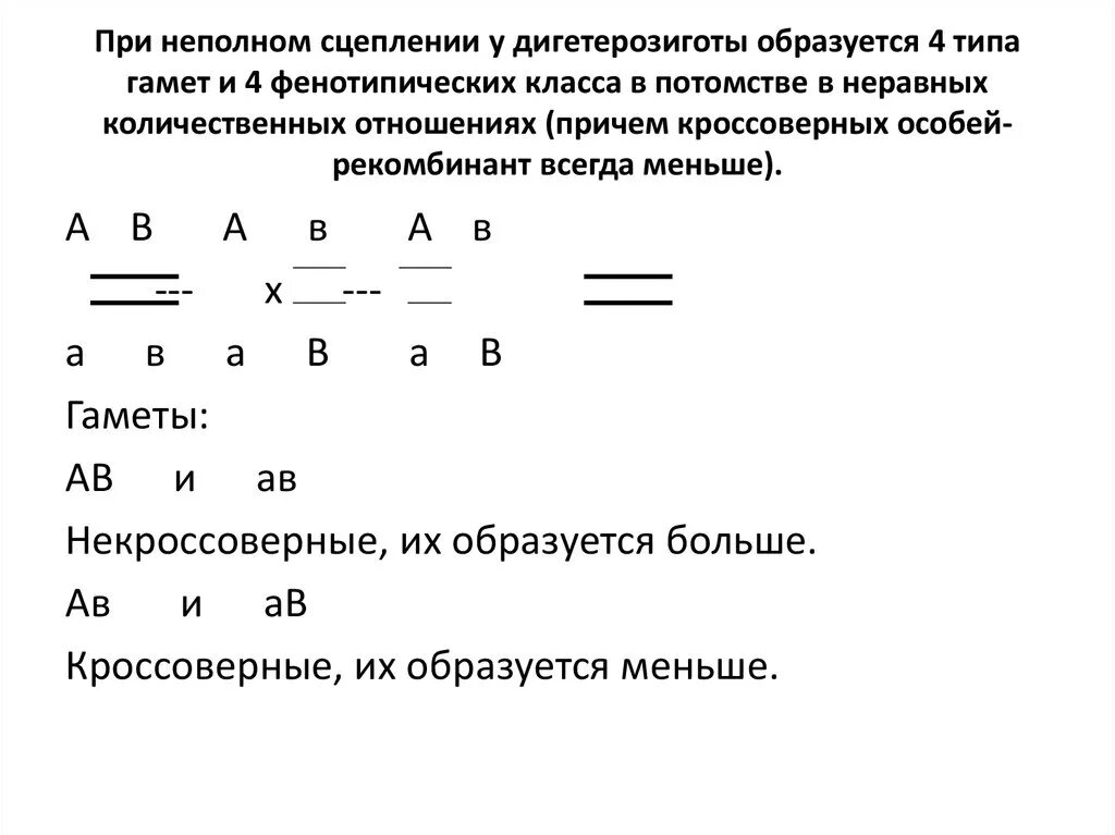 Гаметы при неполном сцеплении. Сколько типов гамет образует дигетерозиготная. Гаметы при сцеплении. Какие типы гамет образует дигетерозиготный организм. Сколько генотипов образуется при анализирующем скрещивании дигетерозиготы