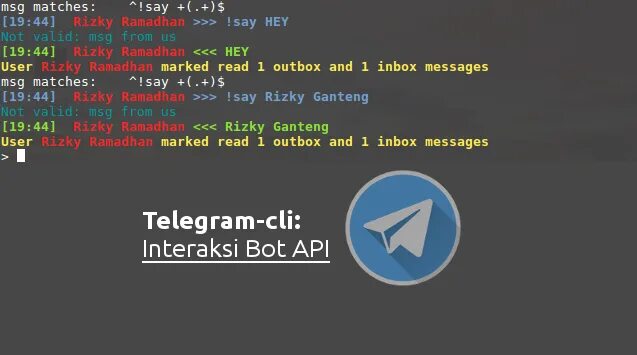 Bot api php