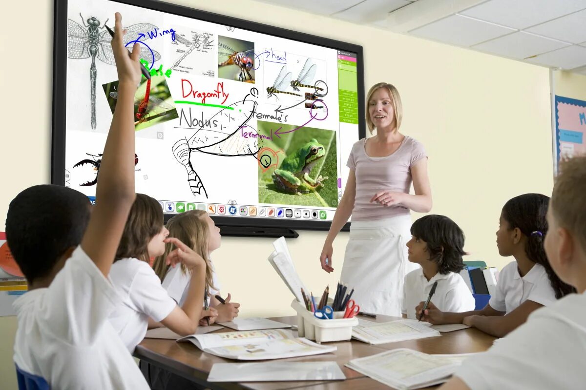 Игры на уроках биологии. Интерактивная доска для школы. Мультимедиа в школе. Интерактивная доска на уроке. Учитель показывает презентацию.