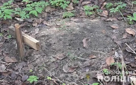Родила и оставила в лесу фроська