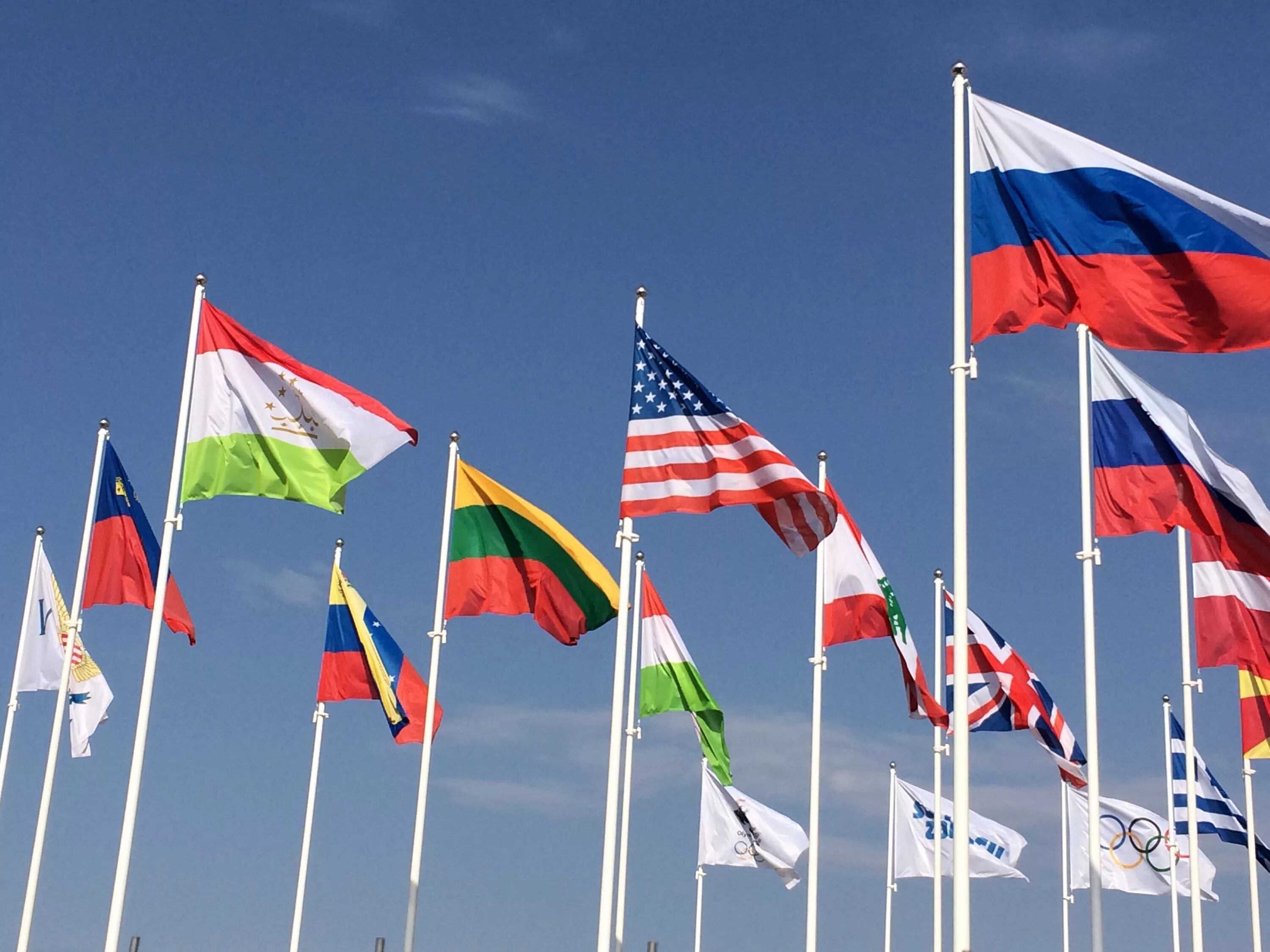 Flags tls