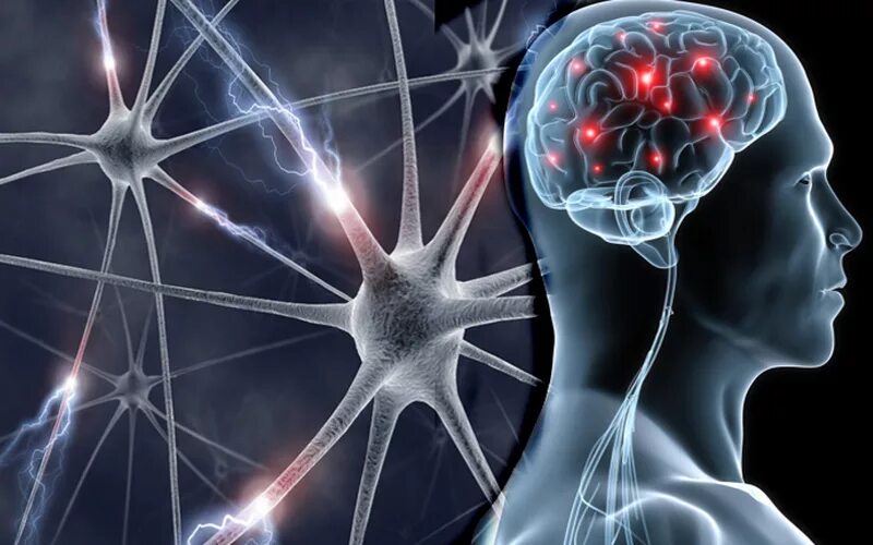 Нейролог. Сестринское дело в невропатологии и психиатрии с курсом наркологии. Невропатология книги. Сиена мед воронеж главный врач. Сестринское дело в психиатрии.