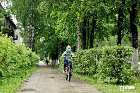 Погода в подпорожье ленинградской на 10