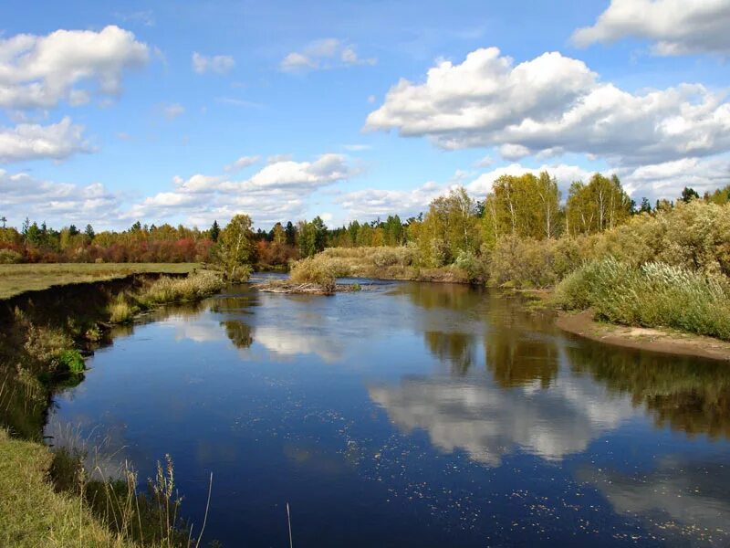 светлоярское озеро. водоемы нижегородской. водоемы нижегородской. светлоярское озеро нижегородская область. озеро ключик нижегородская область ворсма.