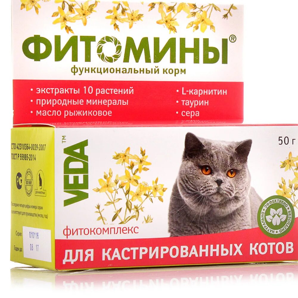 Какой корм давать кастрированному коту