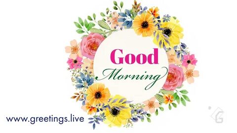 Greetings.Live*Free Daily Greetings Pictures Festival GIF Images: Latest Good mo