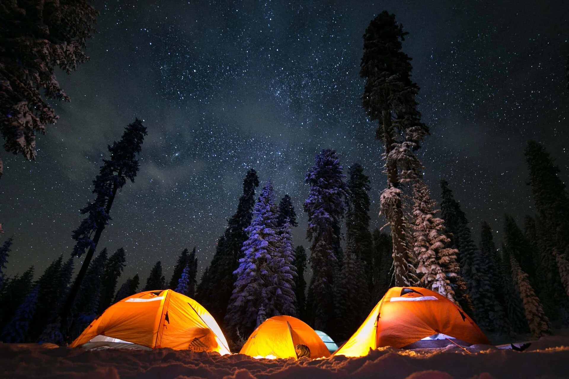 Палатка в лесу. Пейзаж с палаткой. Палатка ночью. Пейзаж горы с палаткой. Camping explore