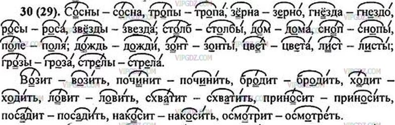 Измените число имен существительных а глаголы. Русский язык 5 класс упражнение 30. Сосна сосны тропа тропы зерно зёрна. Русский язык 5 класс упражнения. Русский язык проверочные слова 5 класс