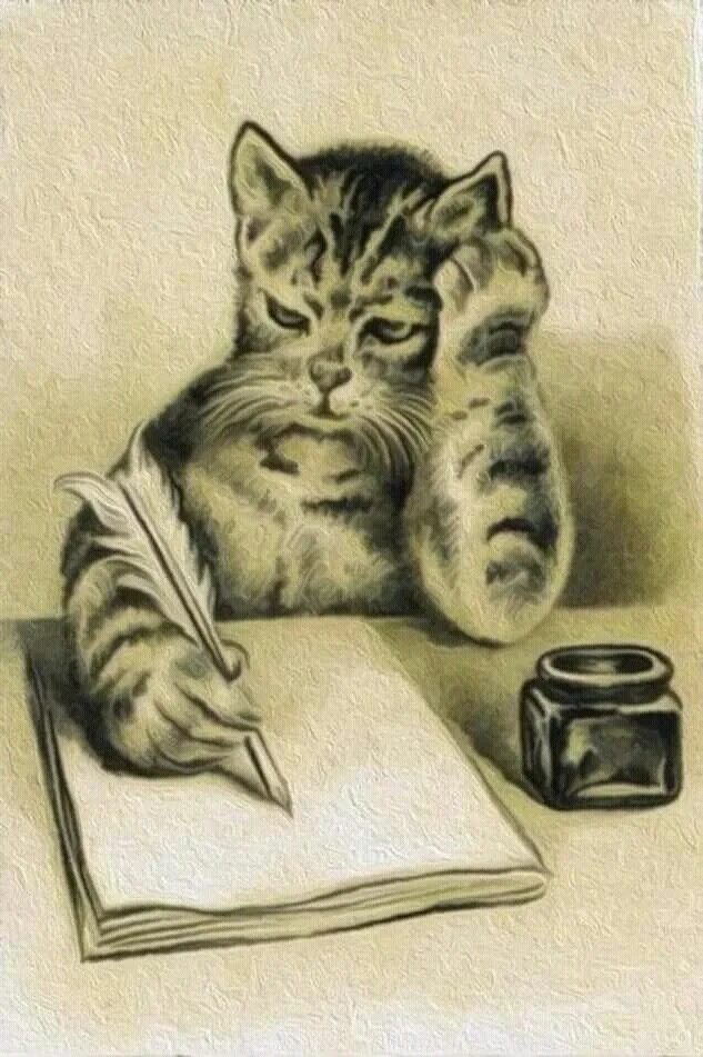 Котенок пишет. Кот с письмом. Котик пишет. Пишущий кот. Котик пишет.