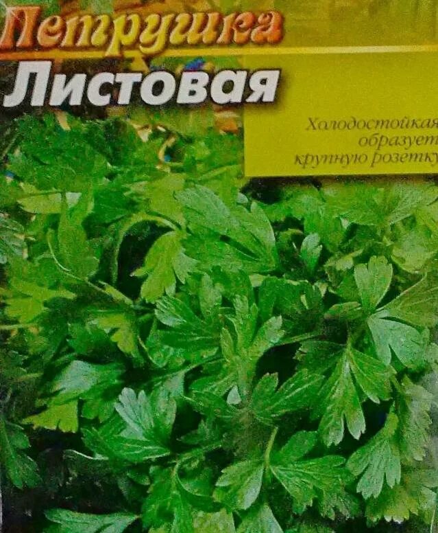 Петрушка лучшие сорта для открытого. Кудрявая зелень сорта петрушки. Петрушка лучшие сорта для открытого. Петрушка лучшие сорта для открытого. Петрушка скороспелая сорта листовая.