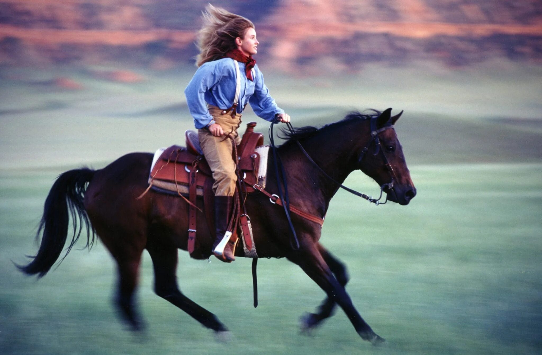 Двин райдинг. European Horsemanship. Sisters Double Horse riding. Photo of riding.