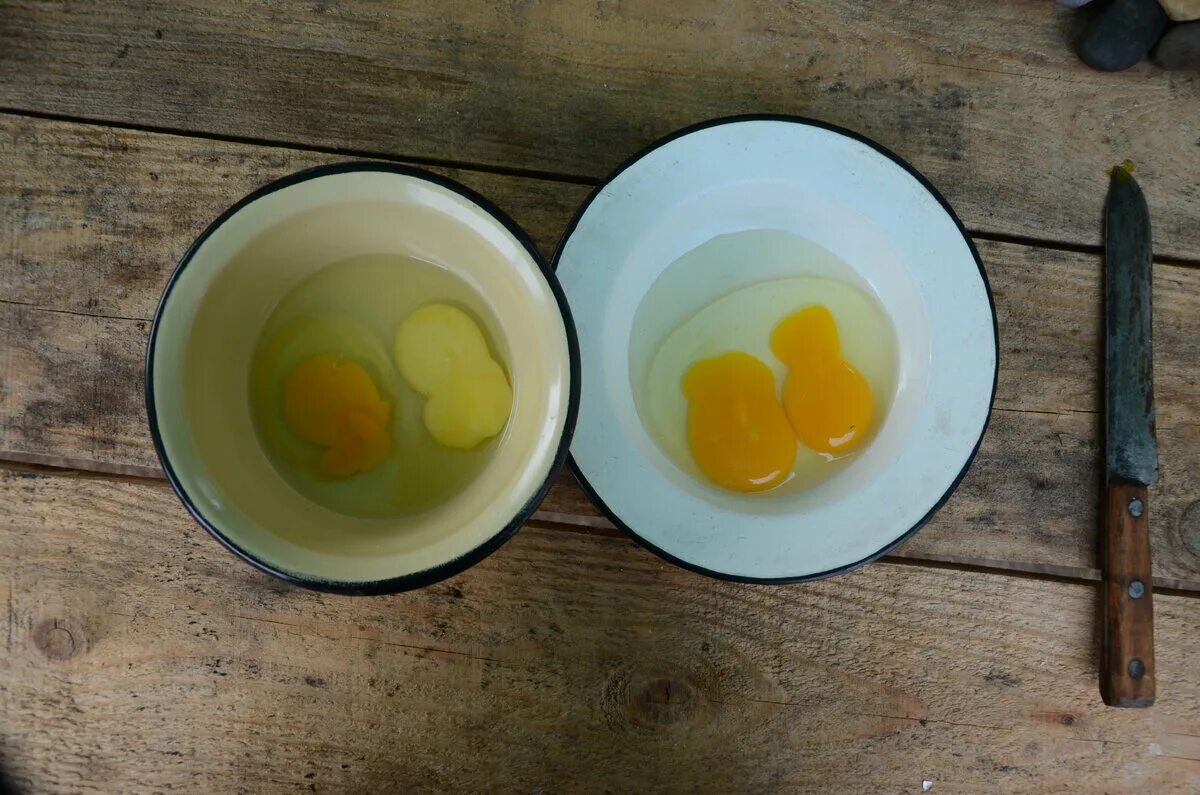 Желток деревенский. Деревенские яйца желток. Тёмный желток в курином яйце. Желток магазинного яйца.