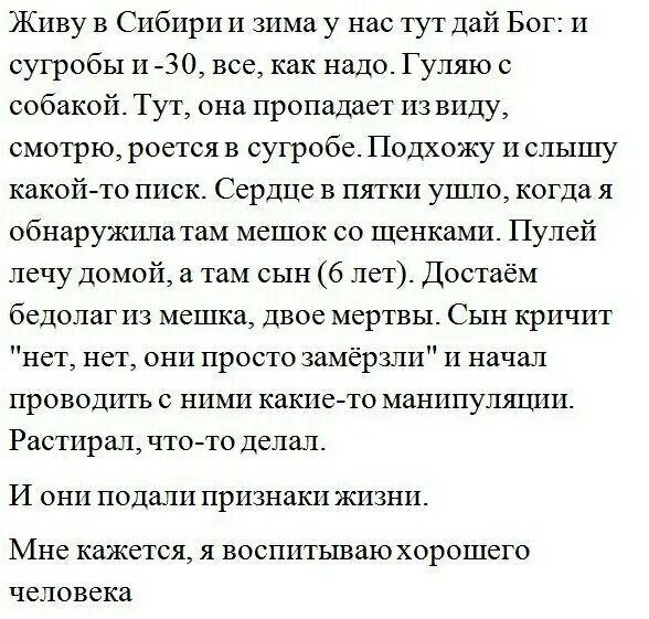 Тут дай работа