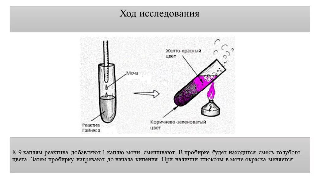 Количественное определение белка в крови. Количественные методы определения Глюкозы в моче. Методы обнаружения Глюкозы в моче. Метод определения Глюкозы в моче. Методика определения сахара в моче.