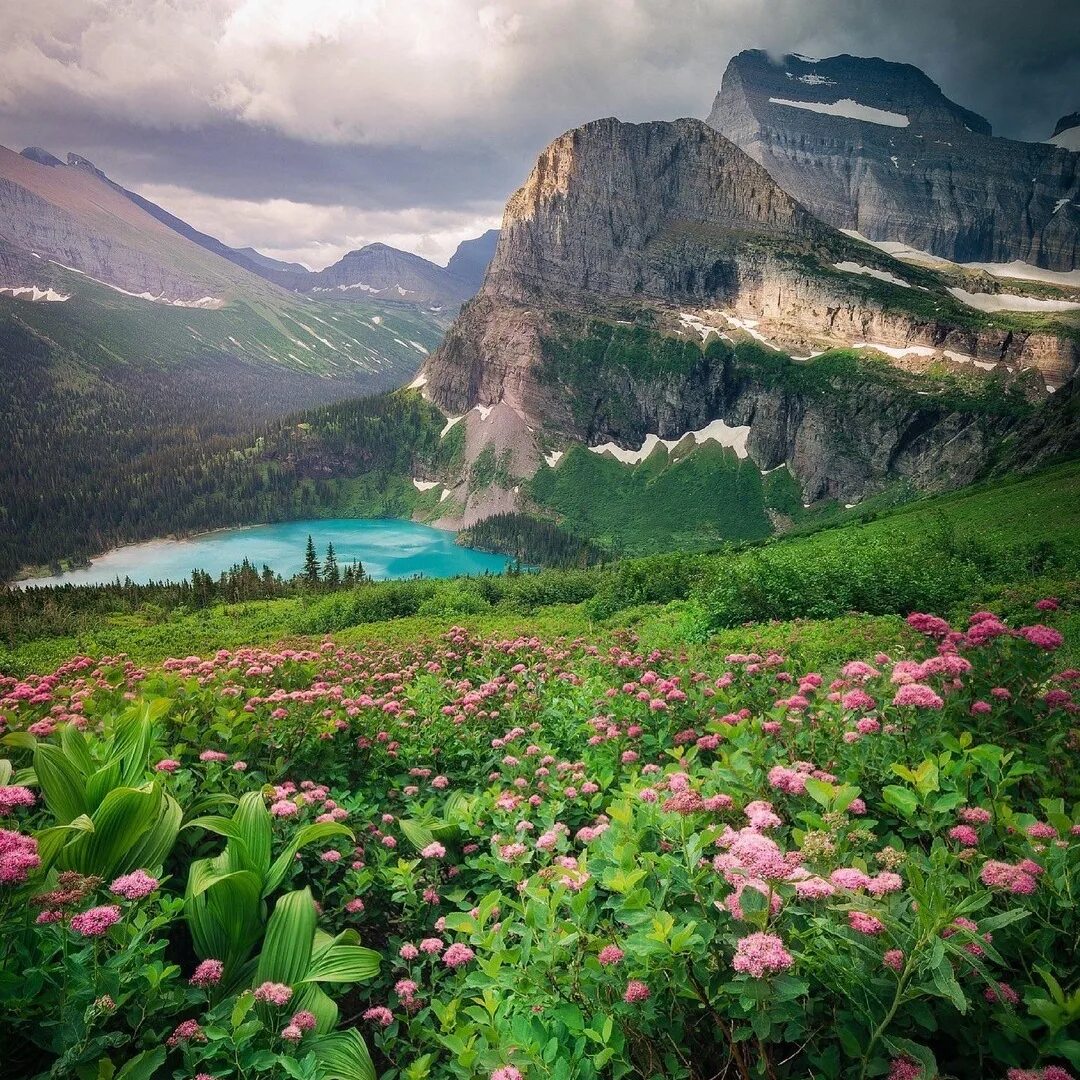 Фото картинки красивые. Глейшер (национальный парк, США). Красота фото. Красивые фотографии природы. Природа парк.