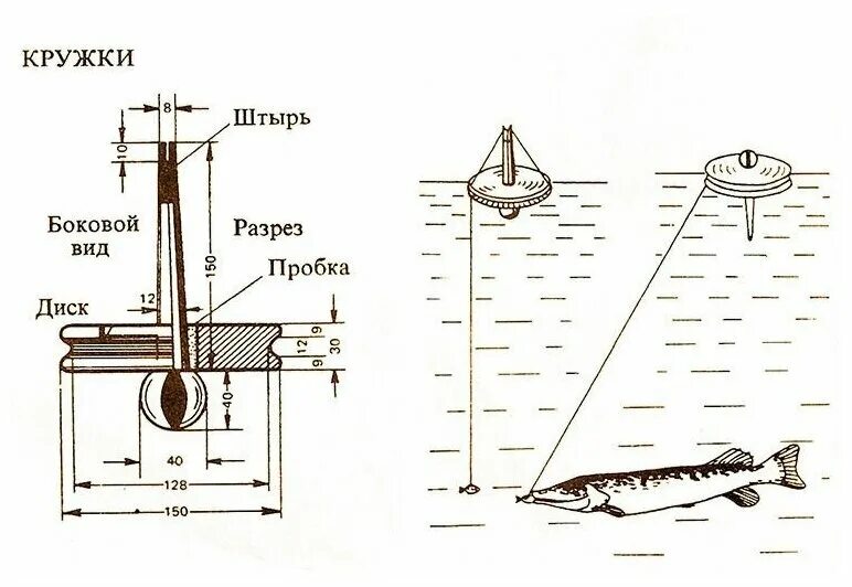 Как ловить щуку на жерлицы