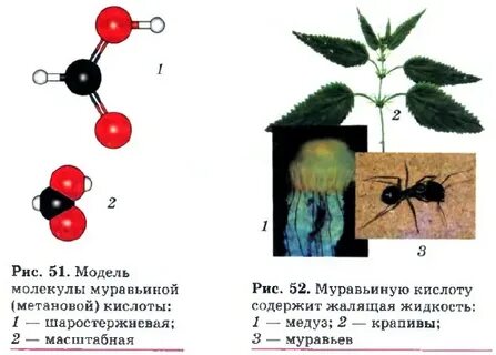 Муравьиная кислота способна проявлять свойства