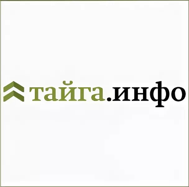 Сайт тайга новосибирск. Тайга инфо. Тайга инфо Новосибирск. Тайга издание Новосибирск логотип.