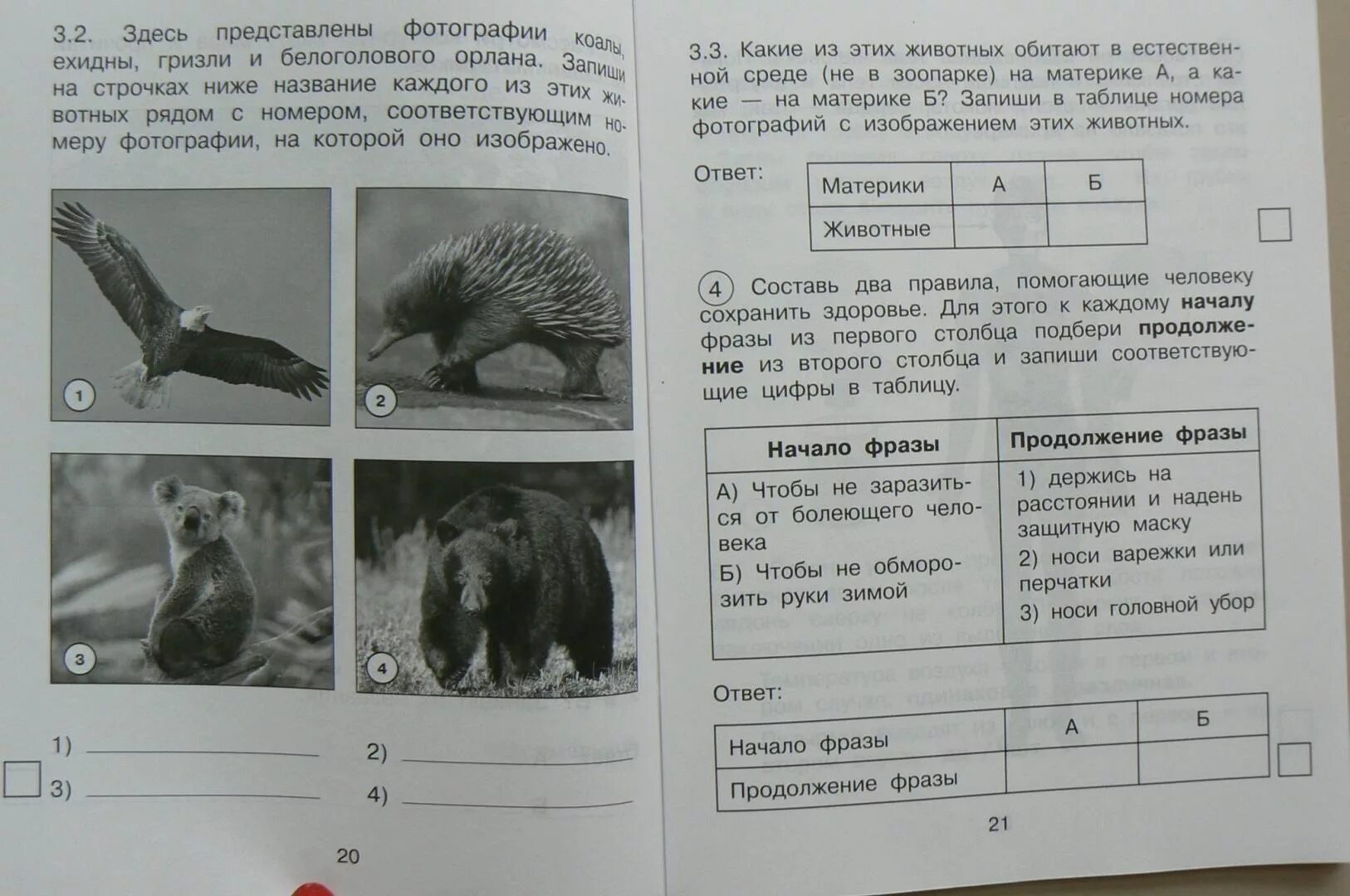 ВПР по окружающему миру 4 кл. 2020, задания, ответы, демоверсии, где найти?