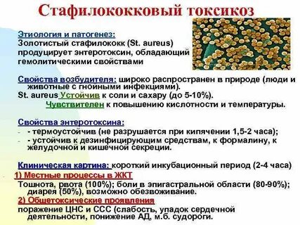 Что такое стафилококковая инфекция