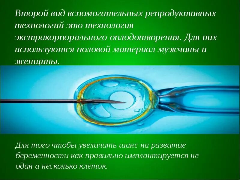 Искусственное оплодотворение. Эко это искусственное оплодотворение. Экстракорпоральное оплодотворение презентация. Процесс искусственного оплодотворения.