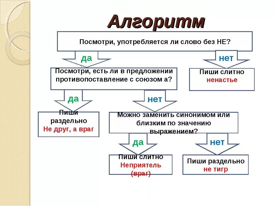 Урок алгоритмы 6 класс. Алгоритм написания не с существительными. Алгоритм как писать не с существительными. Алгоритм правописания не с существительными. Правописание не с существительными 6 класс правило.