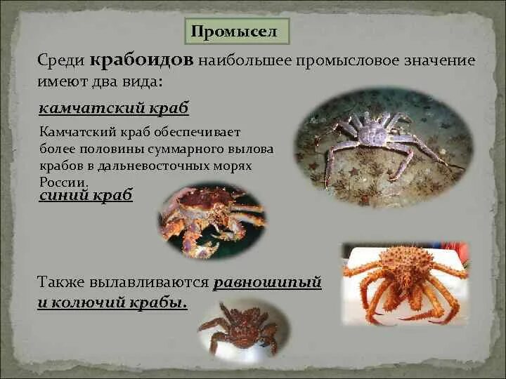 Медицинское значение ракообразных