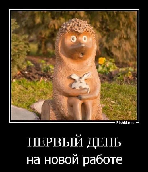 Лента по интересам - Юмор - 3458278 - Tabor.ru