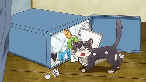 Doukyonin wa hiza tokidoki atama no ue