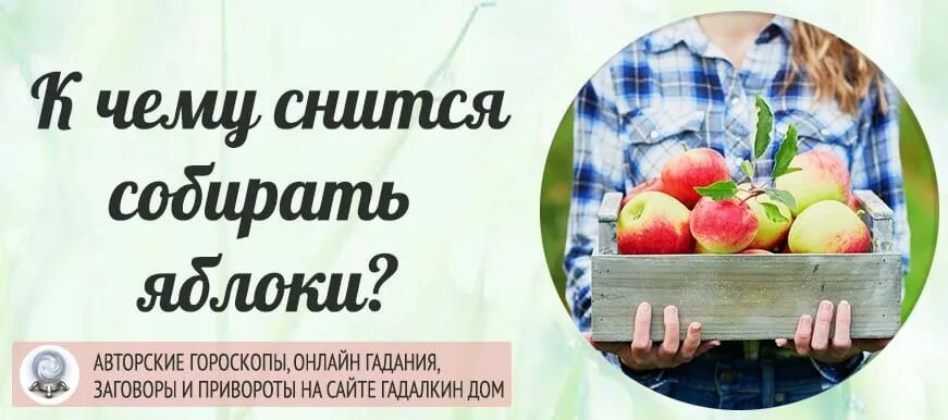 К чему снятся видеть яблоки женщине. Яблоки во сне к чему. К чему снятся яблоки во сне женщине. К чему снится яблоки собирать спелые. Кушать яблоко во сне женщине.