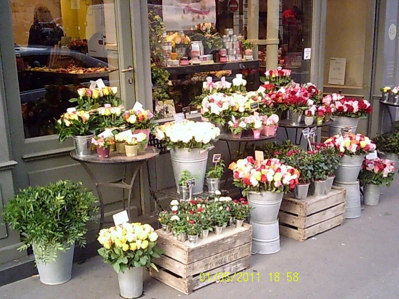 Цветочный прилавок. Цветы на витрине. Витрина цветочного магазина. Витрина для растений.