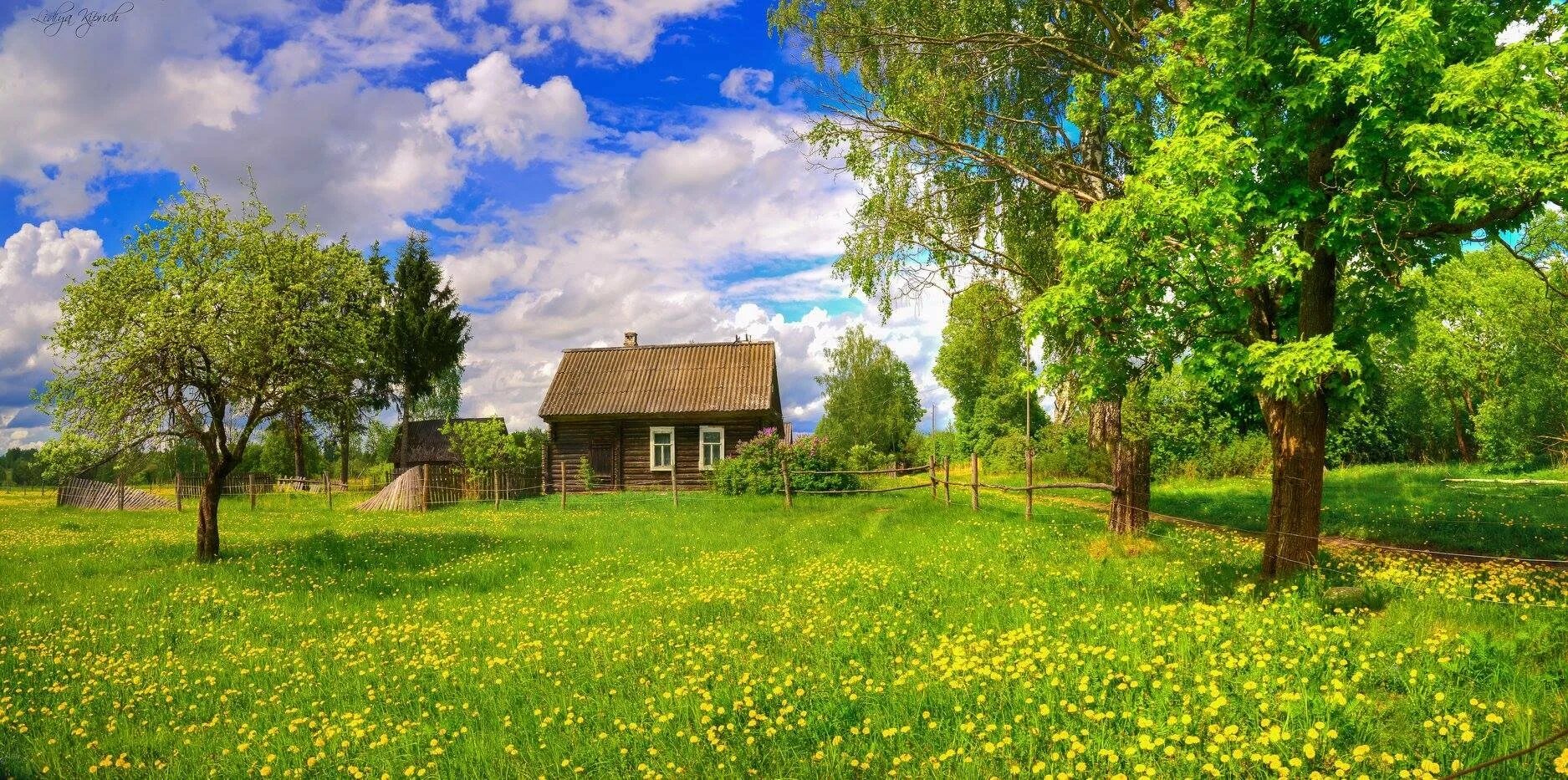 Деревенский пейзаж. Летний пейзаж. Деревенский домик. Красивый дом в деревне. Лето дом 7