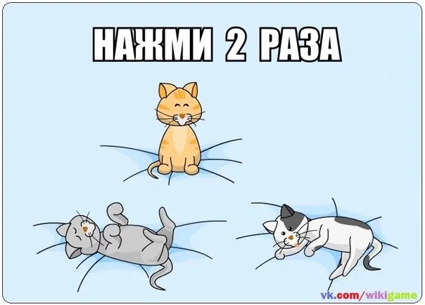 Пощекотать кота. Щекотка кота. Кошкам щекотно. Как пощекотать кота.