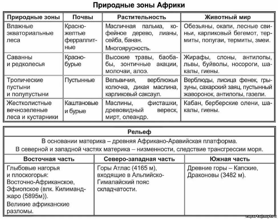 Практическая работа природа россии. Таблица характеристика природных зон Африки 7 класс. Таблица по природным зонам Африки 7 класс. Характеристика природных зон Африки таблица 7 класс география. Таблица природные зоны Африки по географии 7.