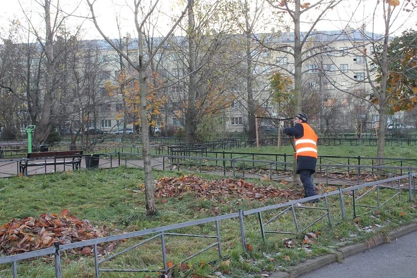 Гужа Выборгского района. Территории администрации в Выборгском районе. Гужа Невского района сотрудники. СПБ Красносельский район ветеранов 131 Гужа состав группы фото.