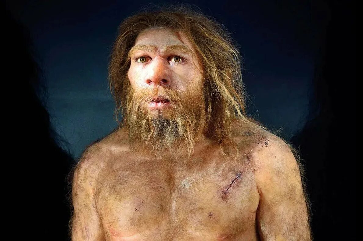 Человек много веков назад. Неандерталец (homo Neanderthalensis). Хомо сапиенс Денисовский человек неандерталец. Денисовцы антропология. Кроманьонец ( homo sapiens).