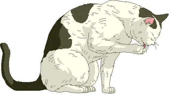 Кот дремот анимация. Кошка анимация. анимашка котик. кошка гиф на прозрачном фоне. анимированные кошки на прозрачном фоне.