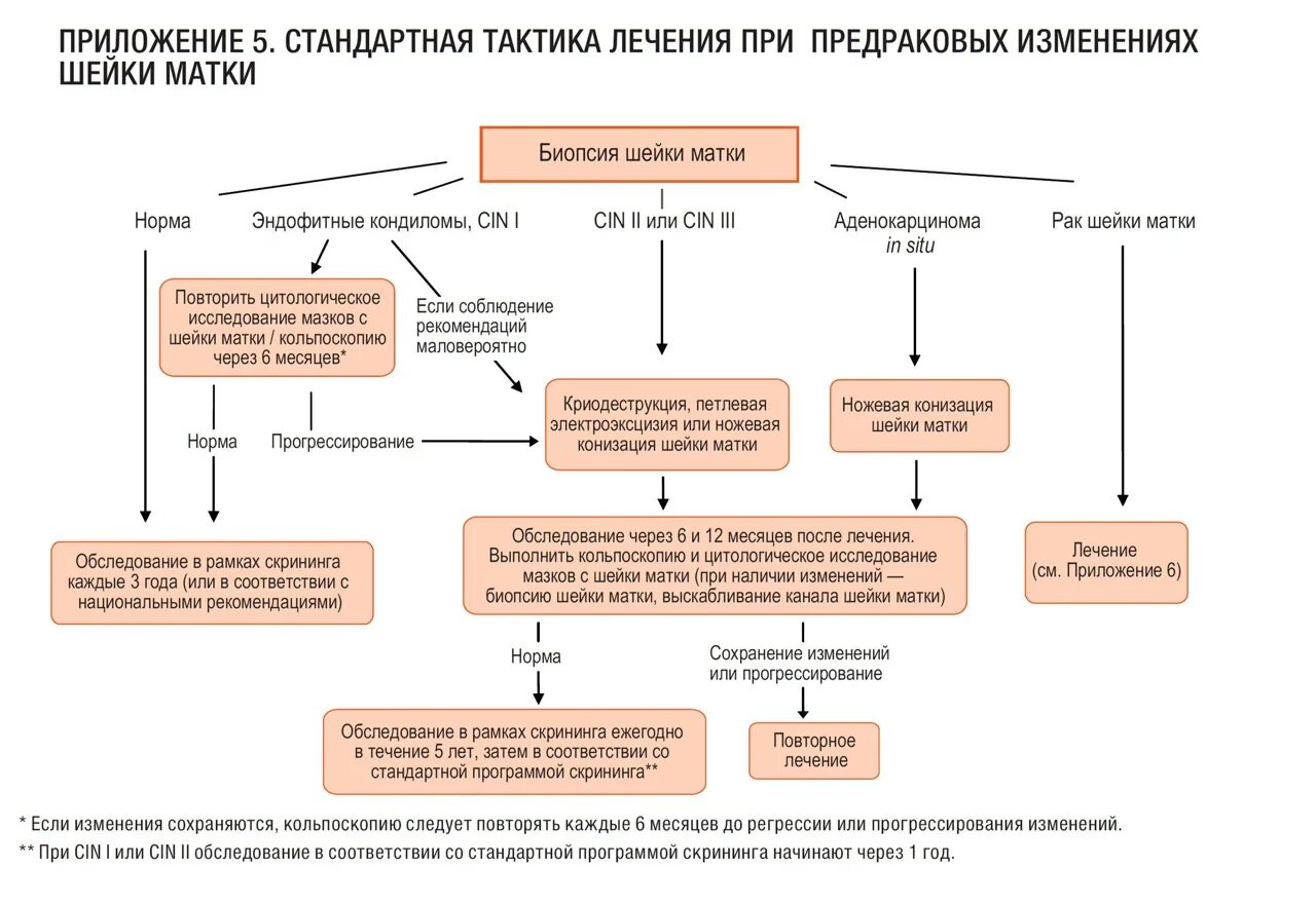Алгоритм ведения пациенток с дисплазией шейки матки. Биопсия шейки матки протокол операции. Биопсия шейки матки алгоритм. Дисплазии шейки матки тактика ведения. Рекомендации по лечению рака