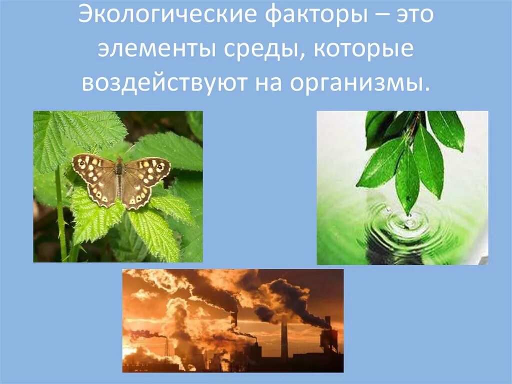 Экологический урок по биологии. Экологические факторы. Экологические факторы среды. Экологические факторы эьл. Экологические факторы это в экологии.