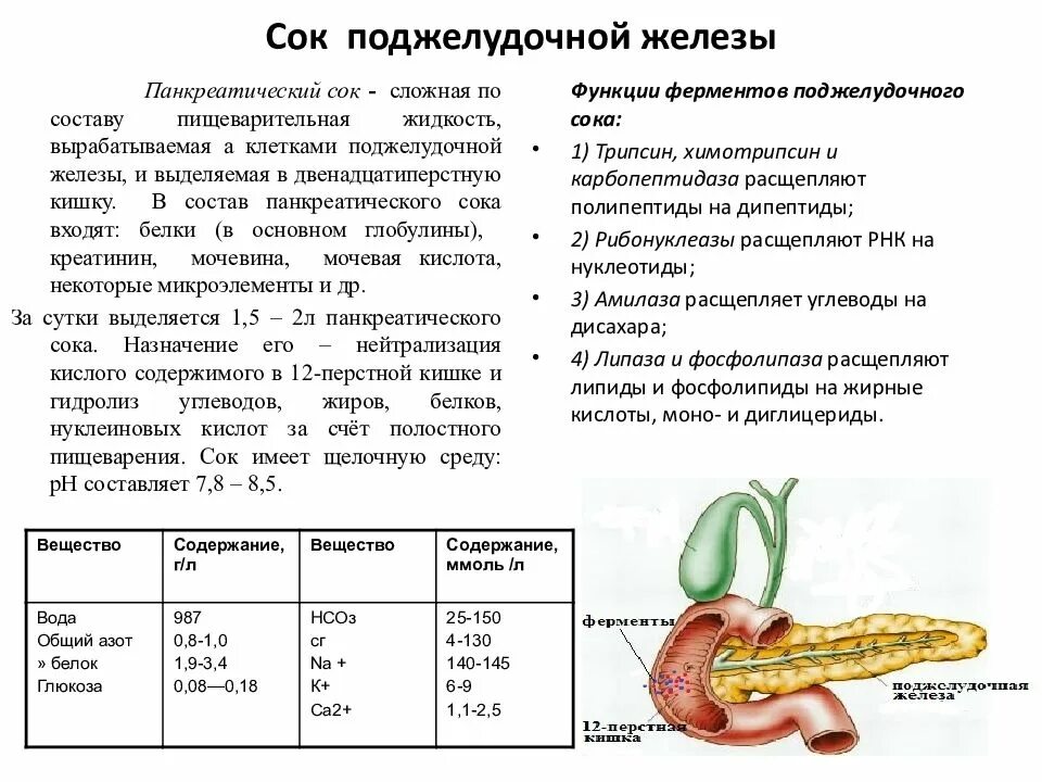 Состав пищеварительного сока поджелудочной железы. Пищеварительный сок, железы двенадцатиперстной кишки. Поджелудочная железа состав поджелудочного сока. Охарактеризуйте пищеварительные ферменты сока поджелудочной железы.