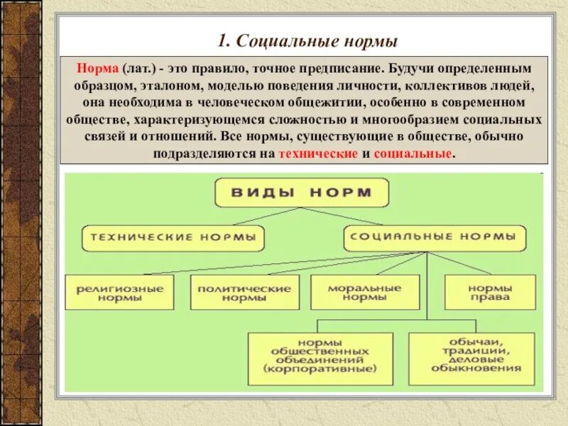 Социальные нормы предписания. Технические нормы права примеры. Формы социальных норм предписание. Виды социальных норм технические нормы