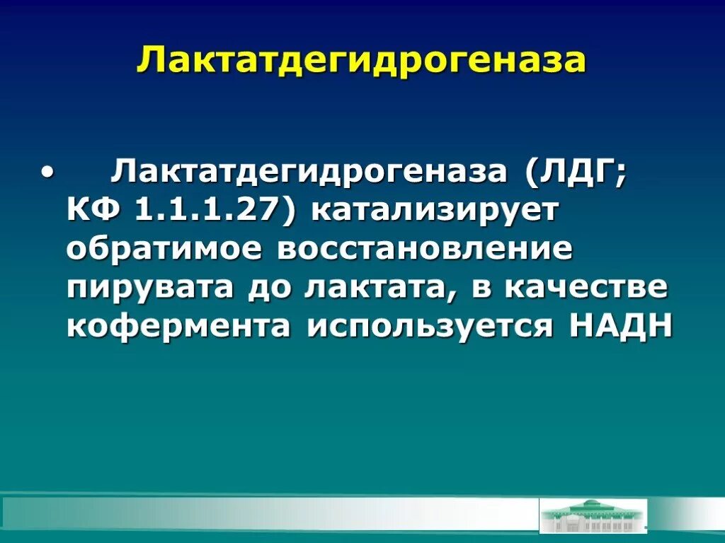 Фермент лдг. Лактатдегидрогеназа. Лактатдегидрогеназа катализирует превращение. Лактатдегидрогеназа катализируемая реакция. Лактатдегидрогеназа биохимия.